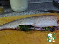 ����, ���������� � ����� �����������