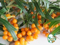 ���� �� �������� � ����� �����������