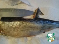 ������� ������ �����������