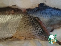 ������� ������ �����������