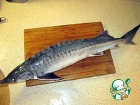 ������������ ��� �����������