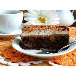 ���� ���������-���������� ���� ��������