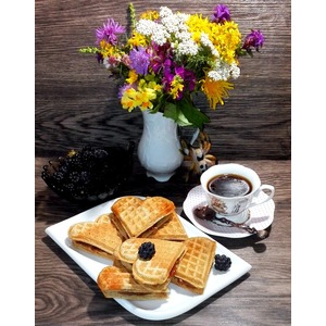 ����� �� �������