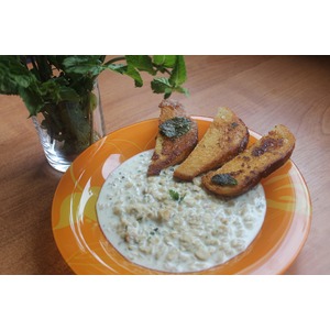 ������ �������