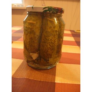 ������ ���������������� "���������"