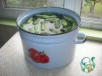 ������ ���������������� "���������" �����������