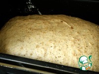 ���� � �������� � �������� �����������