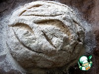 ���� � �������� � �������� �����������