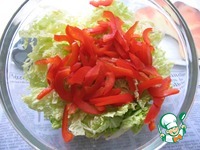 ����� "�������" � ��������� ����� �����������