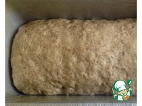 ��������-���������� ���� "� ��������" �����������