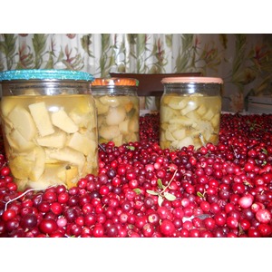 ������������ ����� � ����