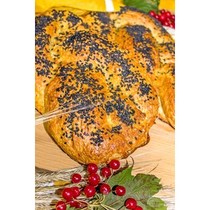 ������� �������� � �����