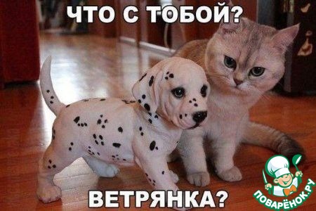 ���������!