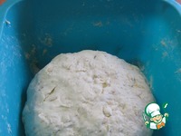 ��������-������� ���� � ������ "�����������" �����������