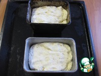 ��������-������� ���� � ������ "�����������" �����������