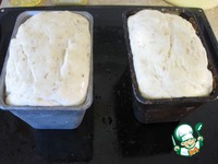 ��������-������� ���� � ������ "�����������" �����������