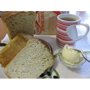 ��������-������� ���� � ������ "�����������"