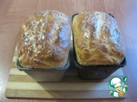 ��������-������� ���� � ������ "�����������" �����������