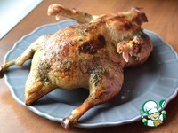 ������ ����� "������" �����������