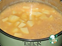 ��������-������������ ���� �����������