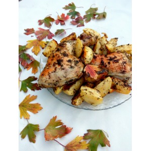 ������ � ���������� � �������� �����