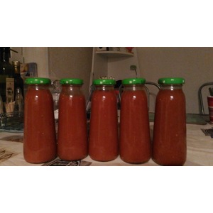 ������ �������� "�������������"