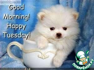 ���������-2