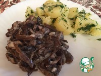 ����� �� �������� �����������