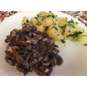 ����� �� ��������