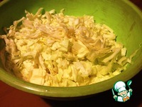 ���������-����� "����������" �����������