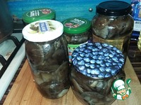 ����� ������������ "������" �����������