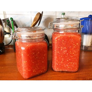 ������ ���������