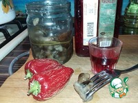 ����� ������������ "������" �����������