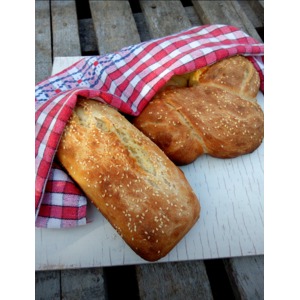 ����� "�������������"