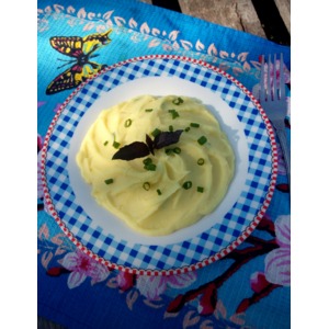 ������������ ���� � �����