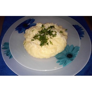 ������������ ����