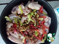 ������ � ������ � �������� �����������