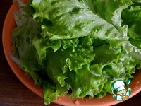 ����� "�����" �����������