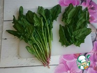 ����� � ����� � ������� �����������