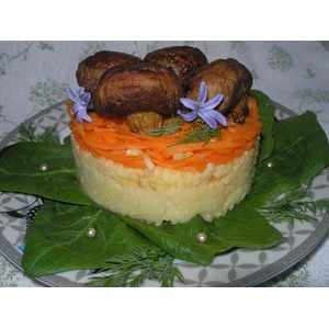 ������ ������� "������� ��������"