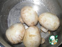 ������ ������� "������� ��������" �����������