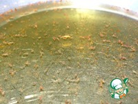 ���-����� �����������