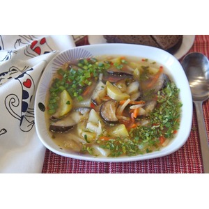 ������� ��� "����"