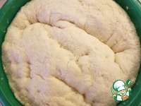 ����� "���������" �����������