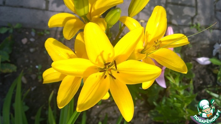 ��������� �� ������������!!!