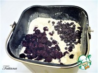 ���� ���������� � ������ � ��������� �����������