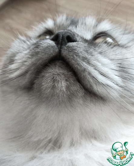 ������� ����� �� 2017 ���