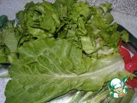 ˸���� ����� "����� ���������" �����������