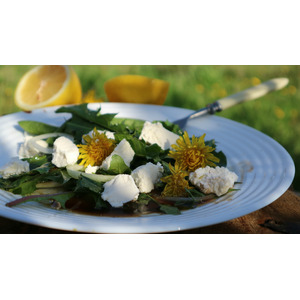 ����� �� �����������