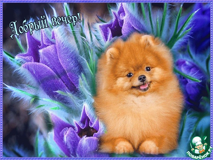 ������� ���� �������� � ��������� �������� ( ��� ���).